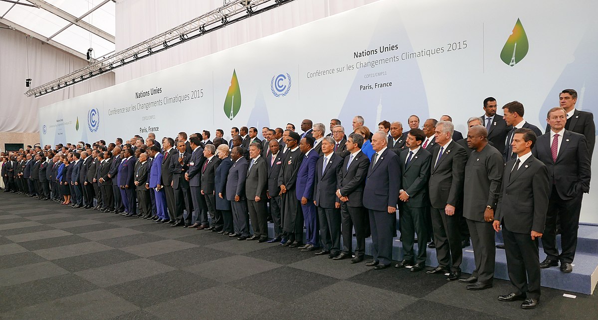 Webinar: Following the Leaders? How to Restore Progress in Global Climate Governance